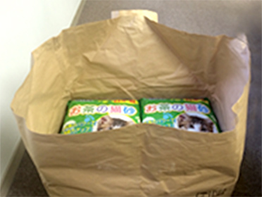 Cat litter pellet
